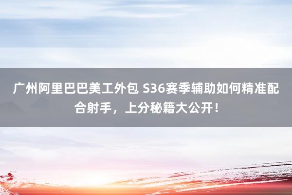 广州阿里巴巴美工外包 S36赛季辅助如何精准配合射手，上分秘籍大公开！