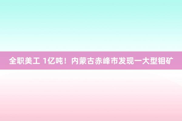 全职美工 1亿吨！内蒙古赤峰市发现一大型钼矿